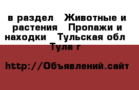  в раздел : Животные и растения » Пропажи и находки . Тульская обл.,Тула г.